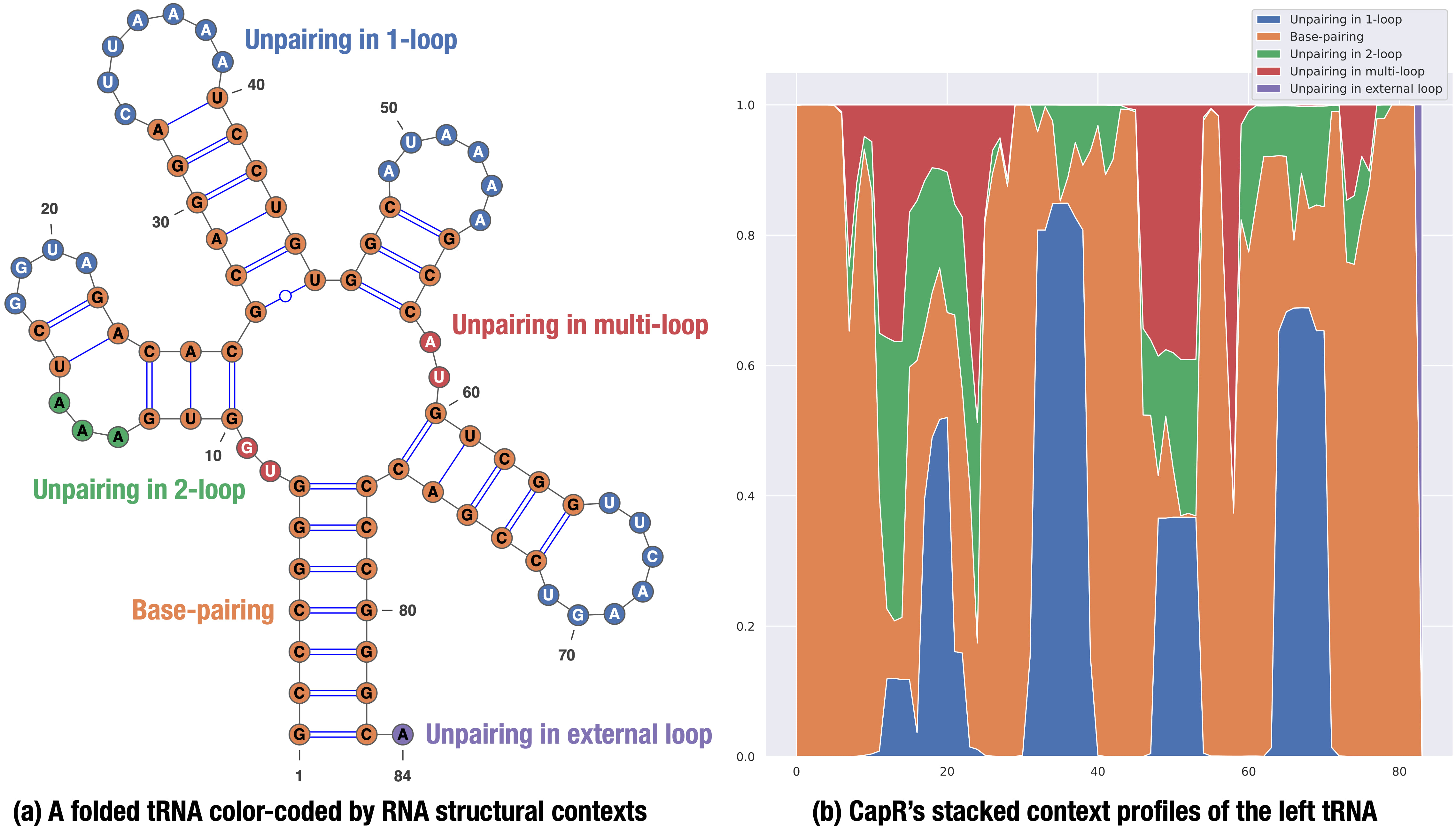 CapR's structural context profiles