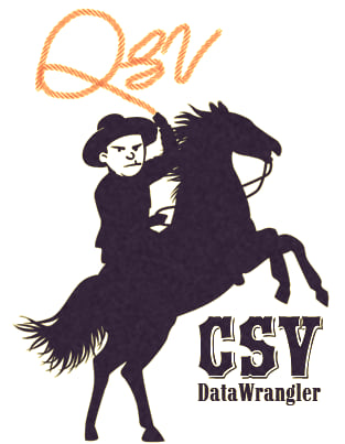 qsv logo