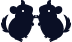 two chinchilla