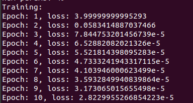 Sample Training Output for MLP