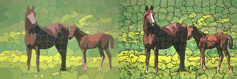 Comparison of segment paramaters, horses