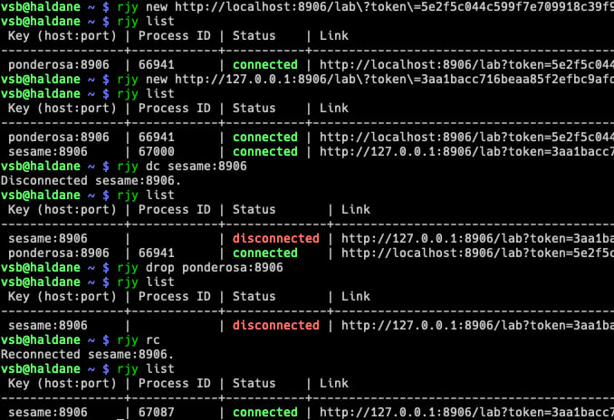 a screenshot of the rjy command line tool