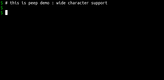 Wide Width Character Support