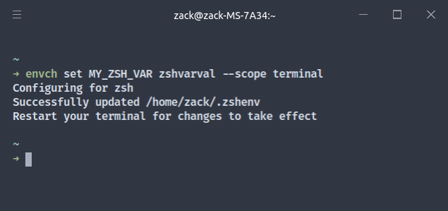 Screenshot of setting a terminal-scoped environment variable