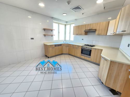 Very spacious 3 br bedroom apt in Shaab