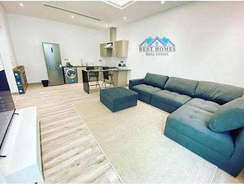 Modern 1 Bedroom Apartment in Salwa