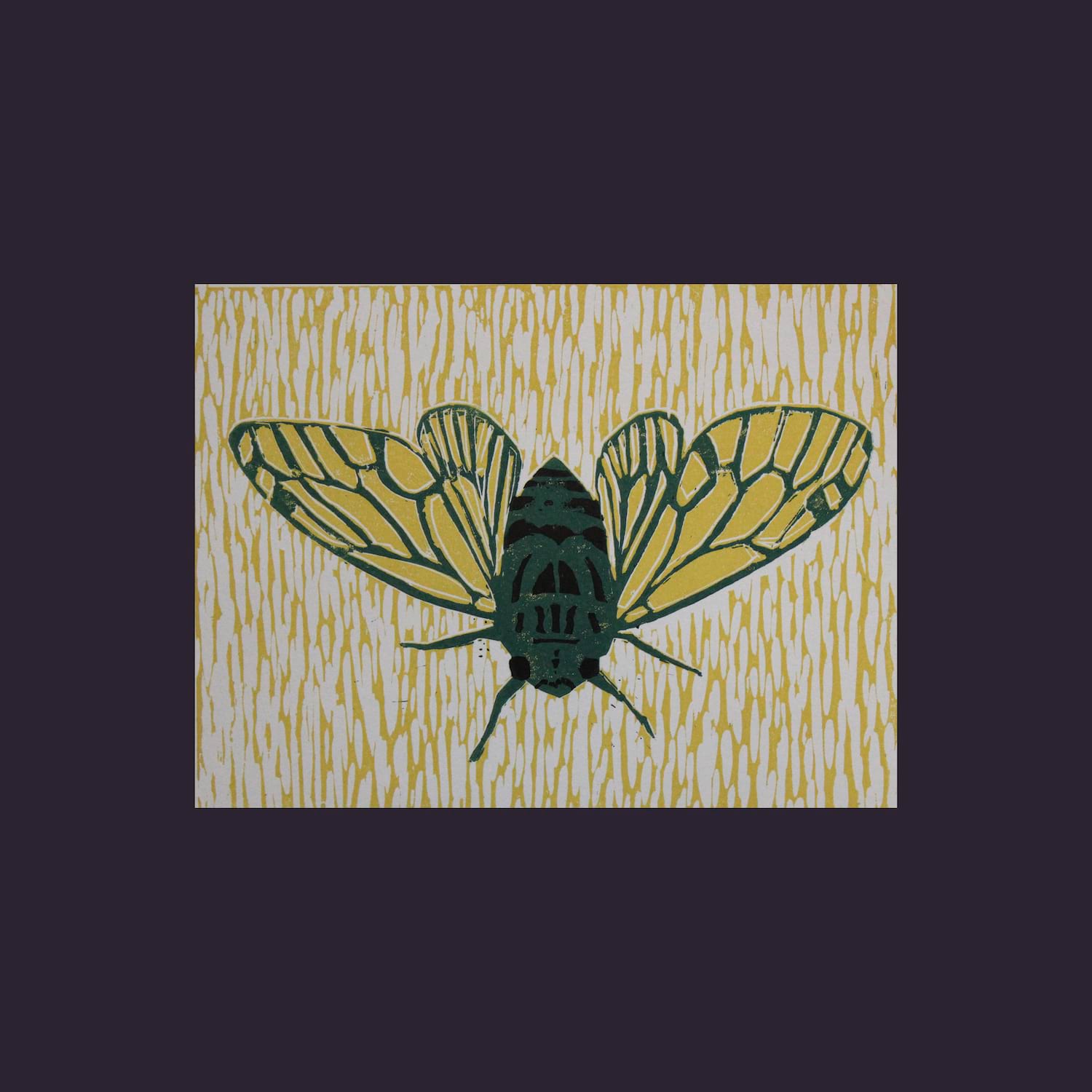  53. Spencer Goldberg. Cicada. Linoleum print. 2021.
