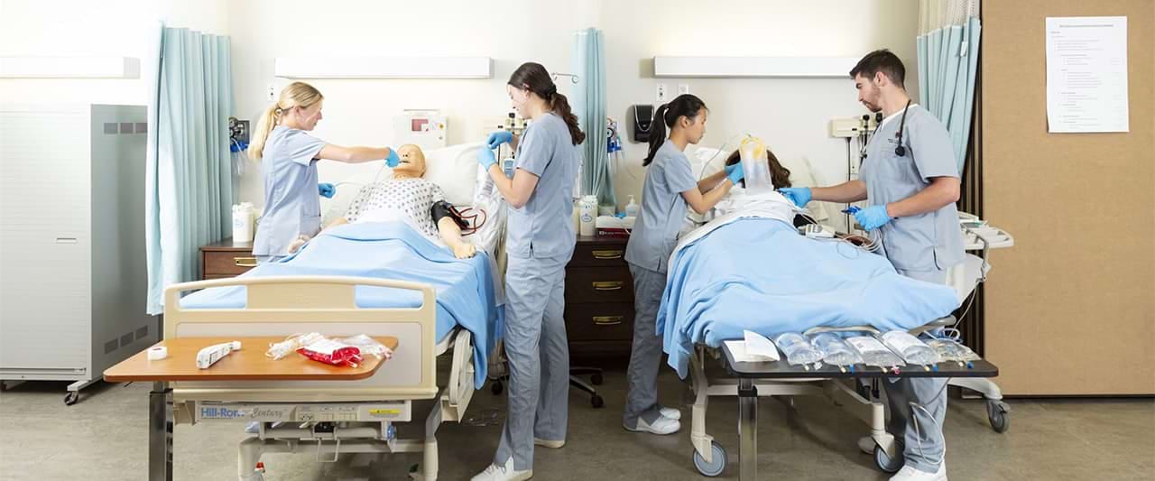  Straight view of four nursing students working on two manikins in a nursing lab.