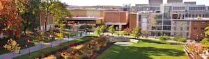 Kinesiology banner