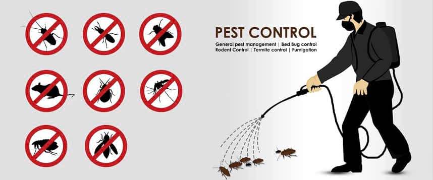 Click India Pest Control in Bangalore