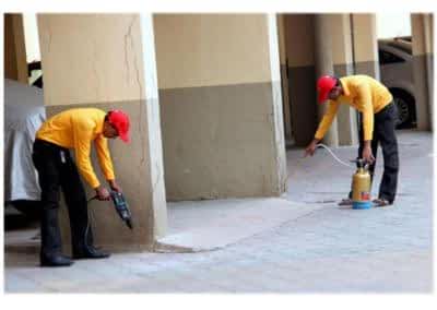 Griffin Pest Control & Termite Solutions  in Jaipur