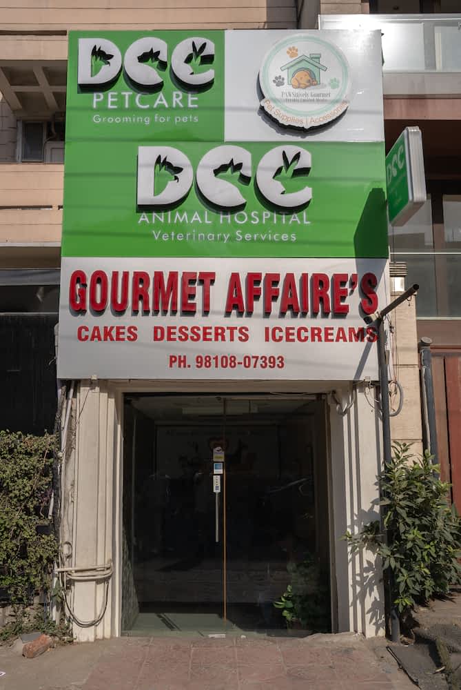 DCC Animal Hospital in India
