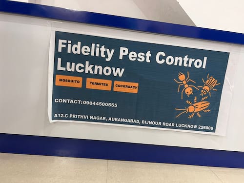 Fidelity Pest Control Termite Control Service in Lucknow