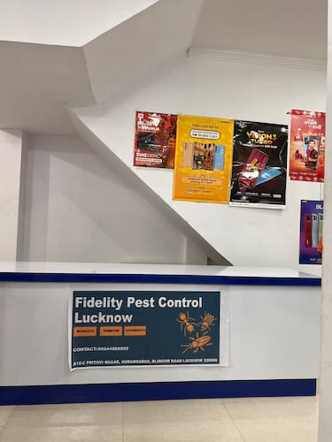Fidelity Pest Control Termite Control Service in Lucknow