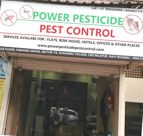 POWER PESTICIDE PEST CONTROL in NAVIMUMBAI