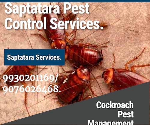 Saptatara Pest Control & Bird Netting Services. in India