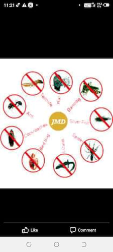 JMD Pest control service management provider  in Alwar