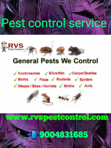 RVS Pest Control Services in Mumbai