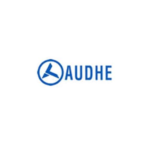 audhe industries in India