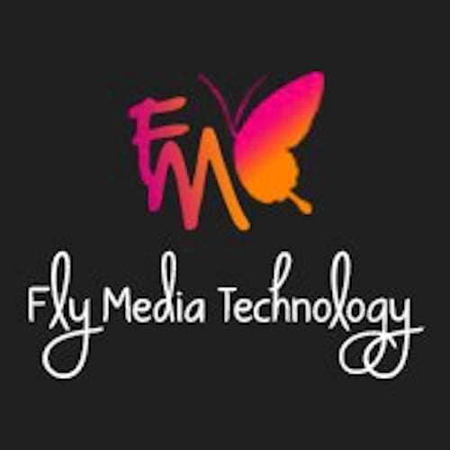 Flymedia Technology | Best IT Company in Ludhiana in India