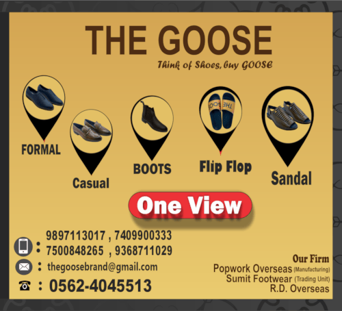 The GOOSE  in Agra