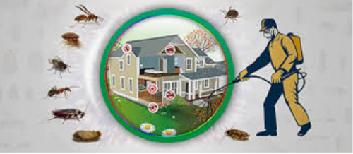 Natural pest control in Thane