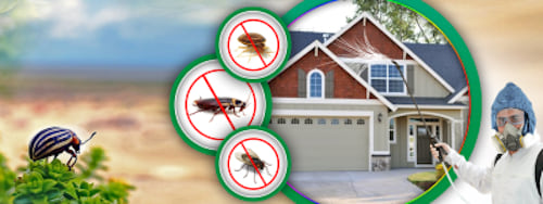 Super herbal power pest control services in Thane