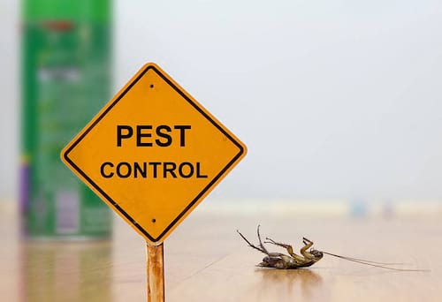 SSS Pest Control in Coimbatore