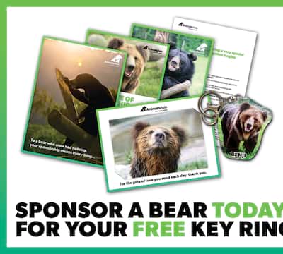 What's in your bear sponsorship welcome pack