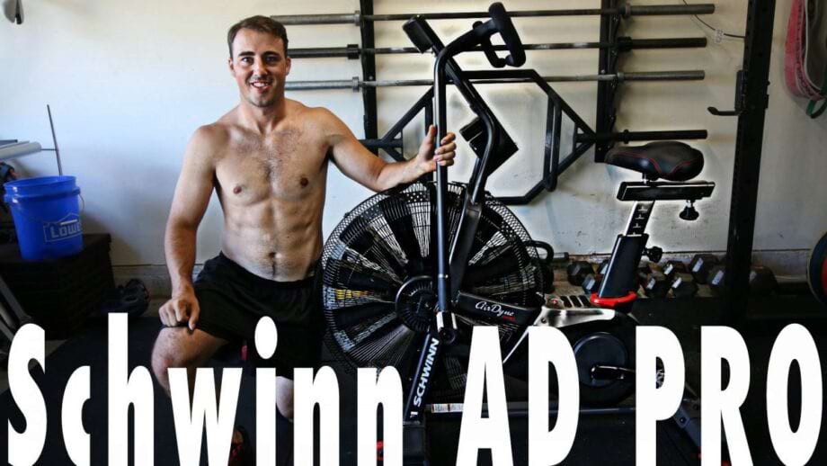 schwinn ad7 airdyne exercise bike
