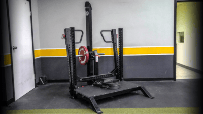 Rogue Rhino Belt Squat In-Depth Review Cover Image
