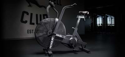 Rogue Echo Air Bike Released Cover Image