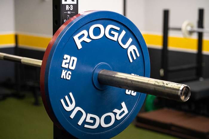 Rogue Calibrated Steel Powerlifting Plates Review (Plus 2-Year Update ...