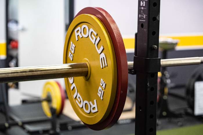 Barbell Logic Online Coaching In-Depth Review | Garage Gym Reviews