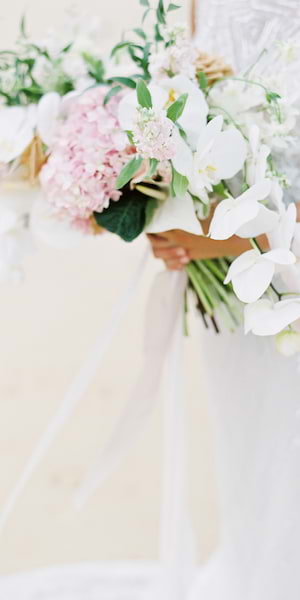 Preview of Sheri McMahon Photography Photographer