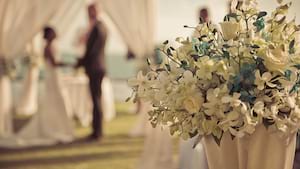 Destination Weddings 