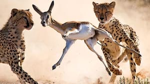 Adventure Trips for Thrill Seekers 