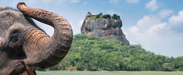 Mesmerizing Sri Lanka..
