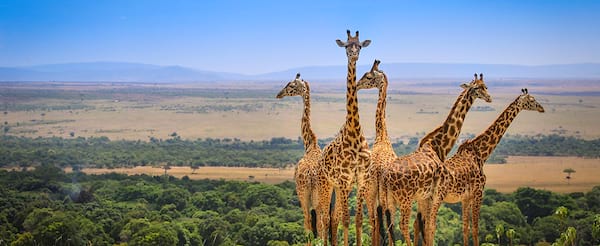 Kenya Wildlife Adventure Kenya Wildlife Adventure