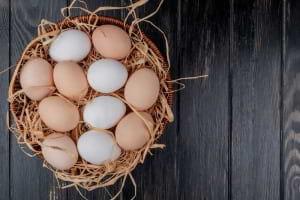 Yumurta Hakkında Sıkça Sorulan Sorular