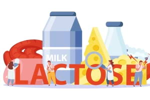 Laktozsuz Süt Neden Daha Tatlıdır?