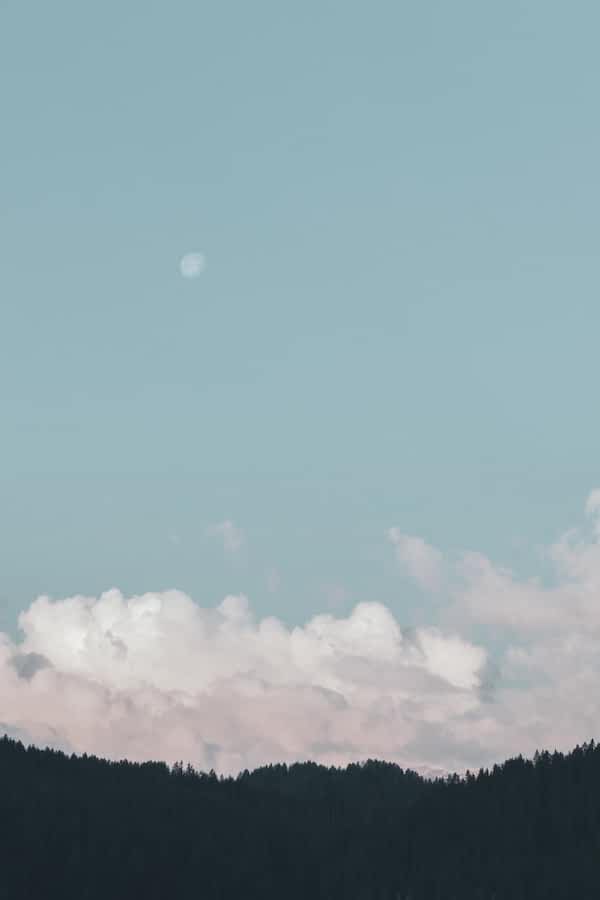 {home_carousel:img_alt}