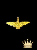 18K Custom Gold Thunder Eagle Charm Pendant