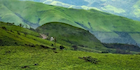 Beyond the Trek: Top Things to Do in Chikmagalur After Hiking