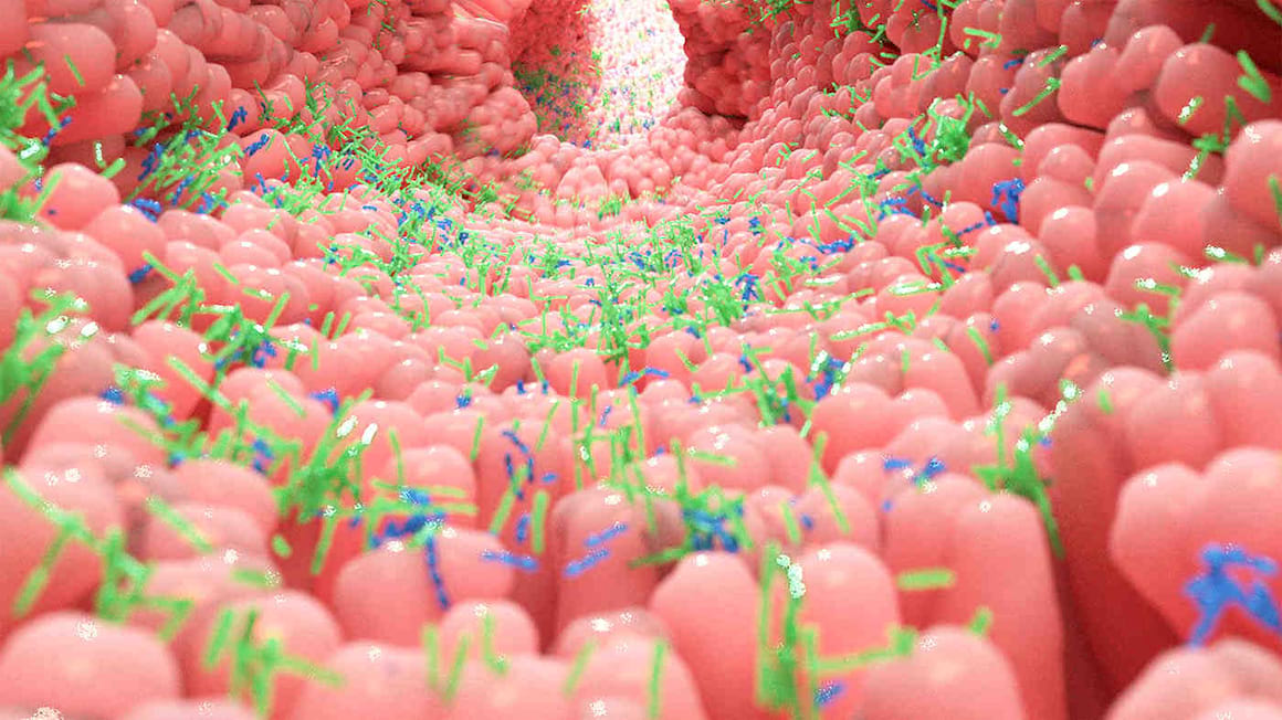 Cum este implicat microbiomul în dezvoltarea cancerului? [studiu]