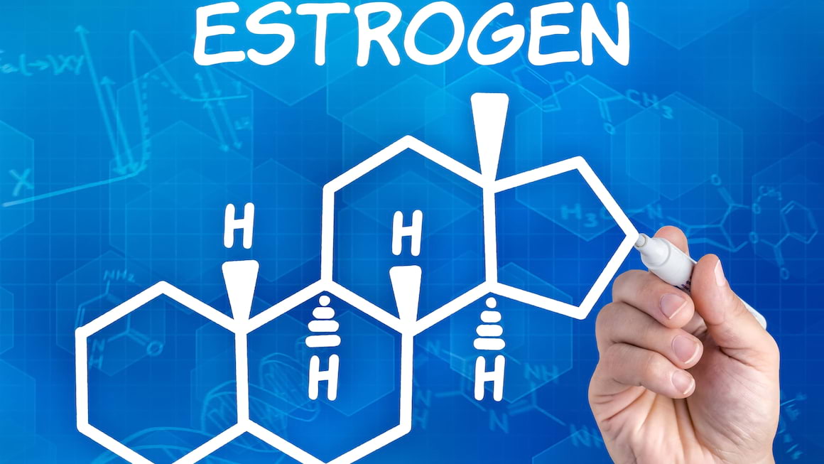 Totul despre estrogen: Ce sunt estrogenii si ce rol au?