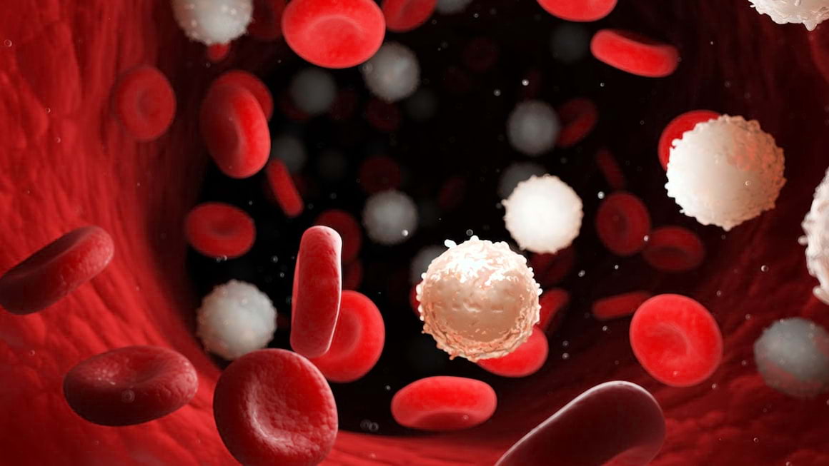 Leucemia limfocitara cronica: cauze, simptome & tratament