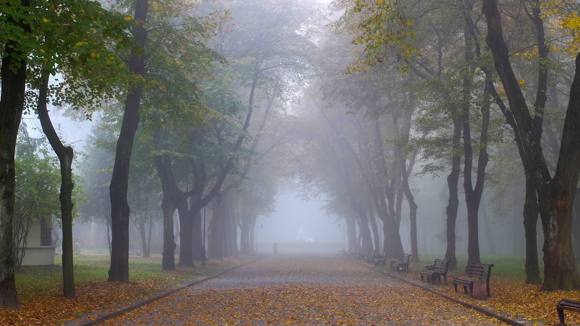 Meteosensibilitatea, intre mit si realitate