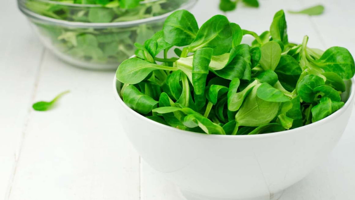 Salata de camp sau fetica: beneficii si retete