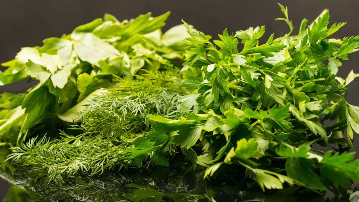 4 plante aromatice din bucatarie, cu beneficii extraordinare